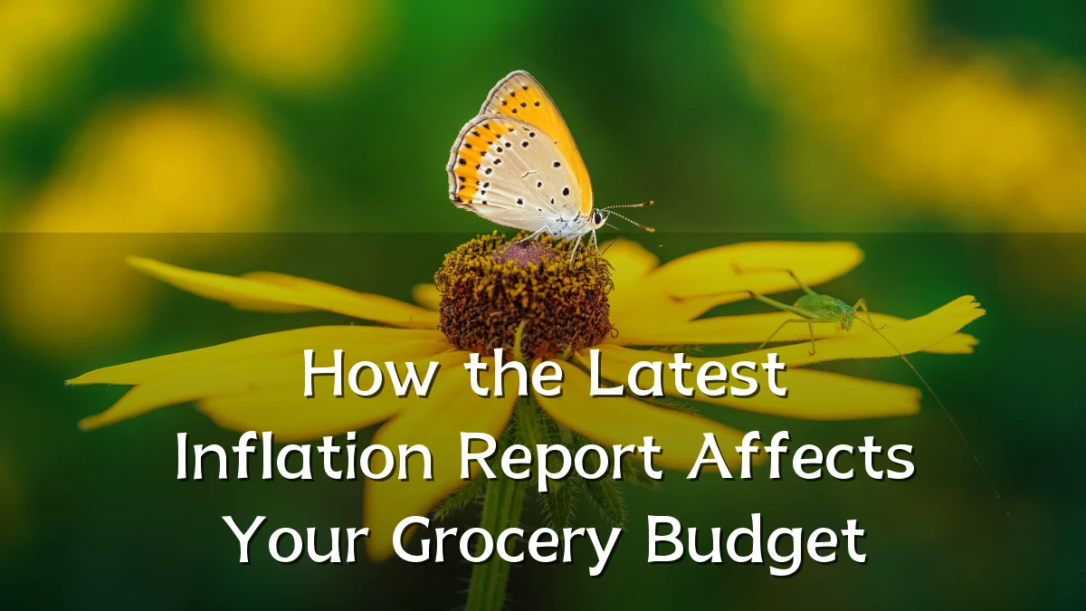 How the Latest Inflation Report Affects Your Grocery Budget