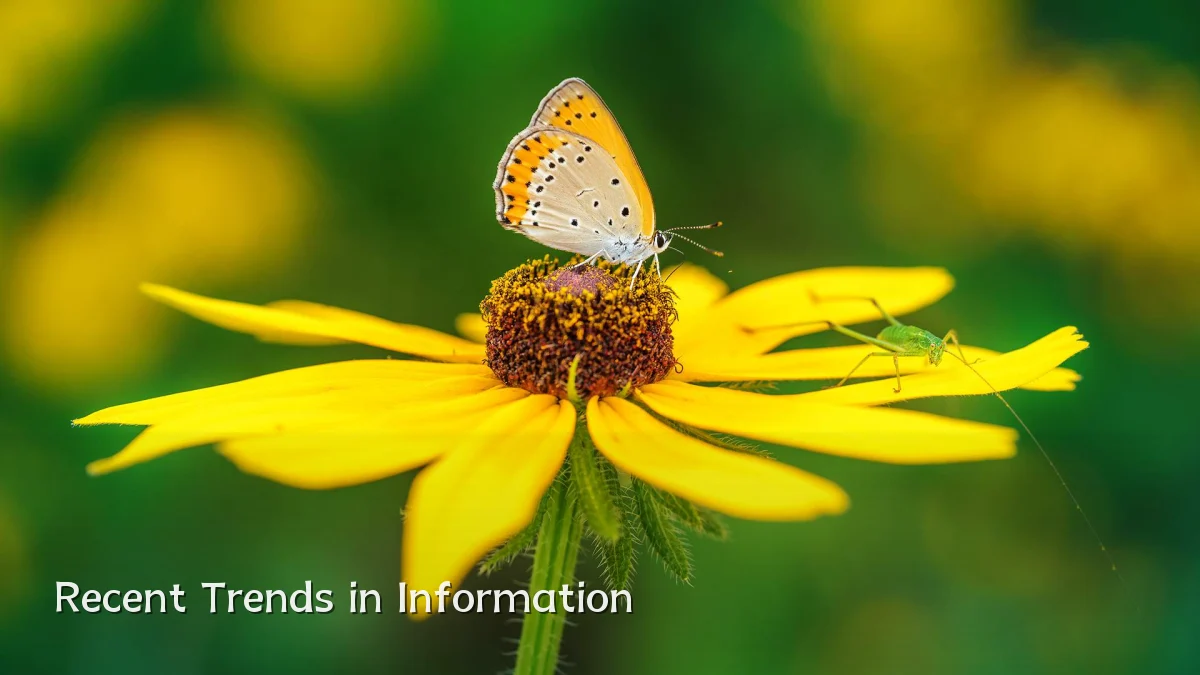 Recent Trends in Information