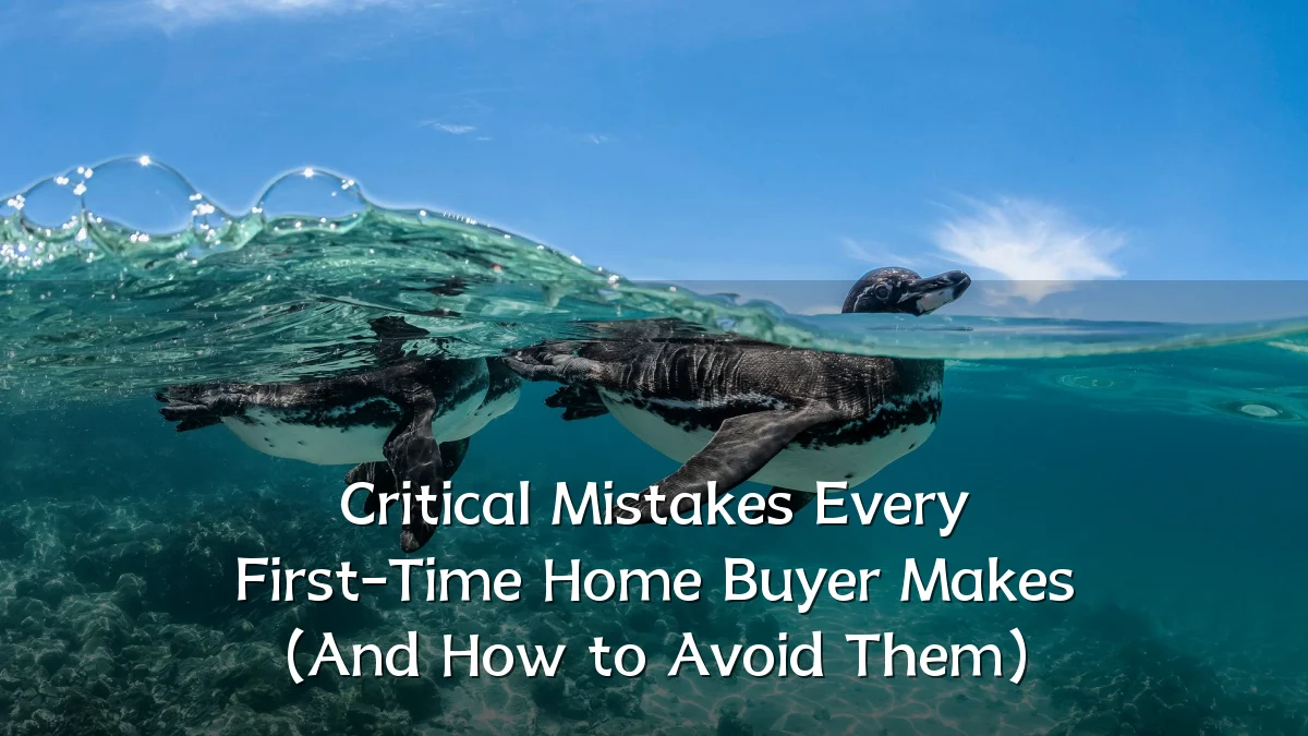 Critical Mistakes Every First-Time Home Buyer Makes (And How to Avoid Them)