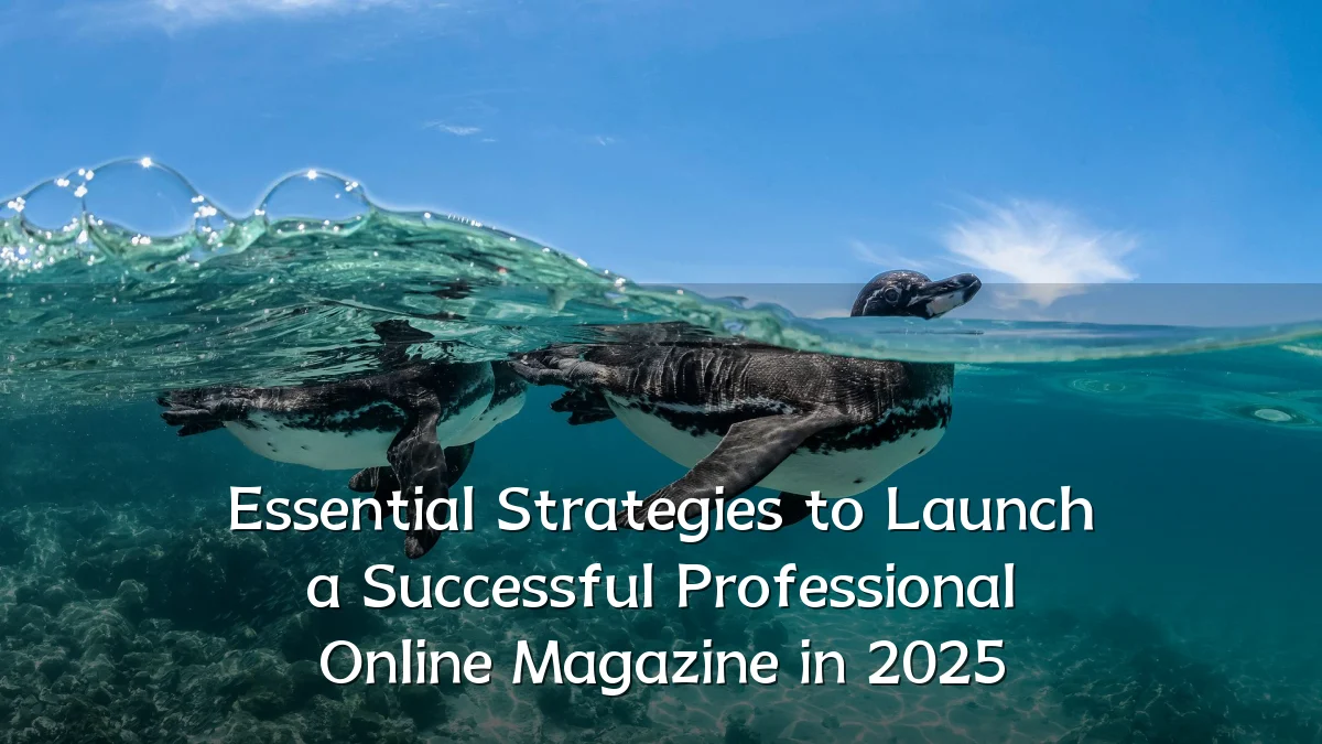 Essential Strategies to Launch a Successful Professional Online Magazine in 2025
