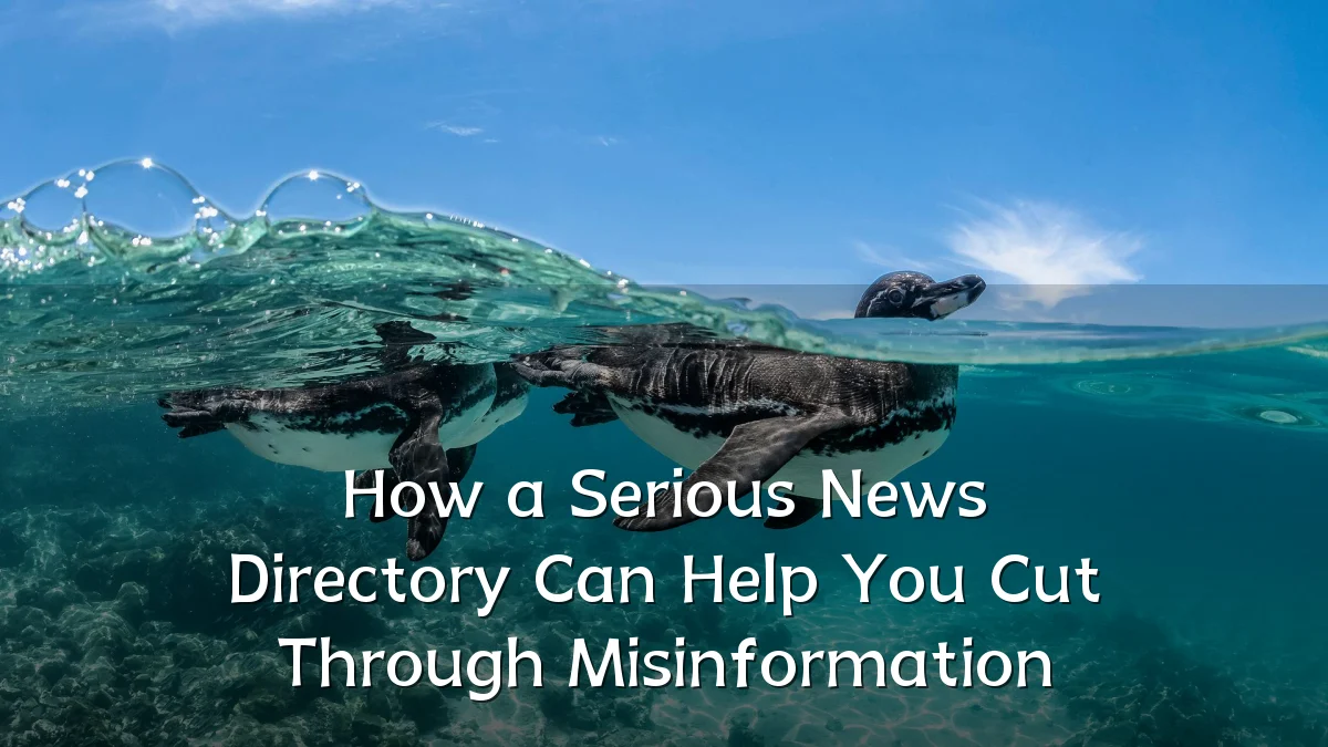How a Serious News Directory Can Help You Cut Through Misinformation