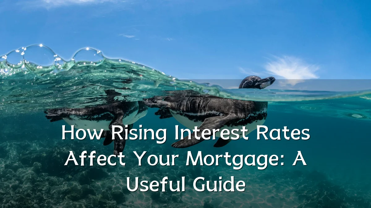 How Rising Interest Rates Affect Your Mortgage: A Useful Guide