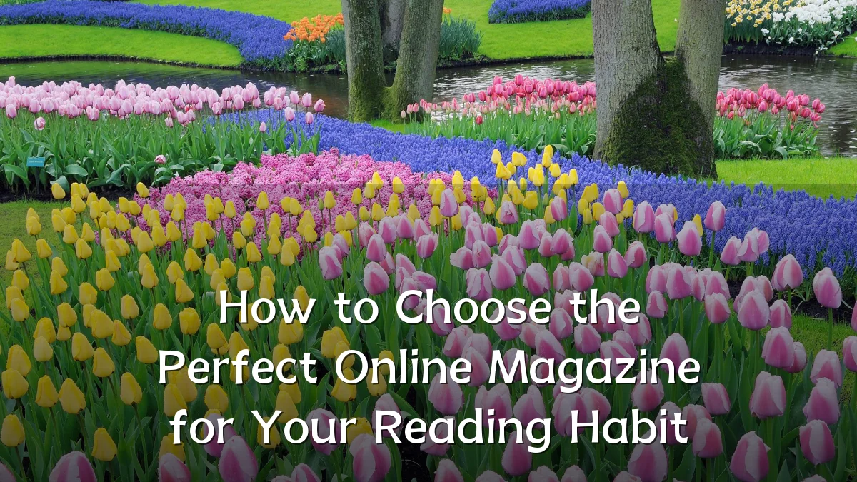 How to Choose the Perfect Online Magazine for Your Reading Habit