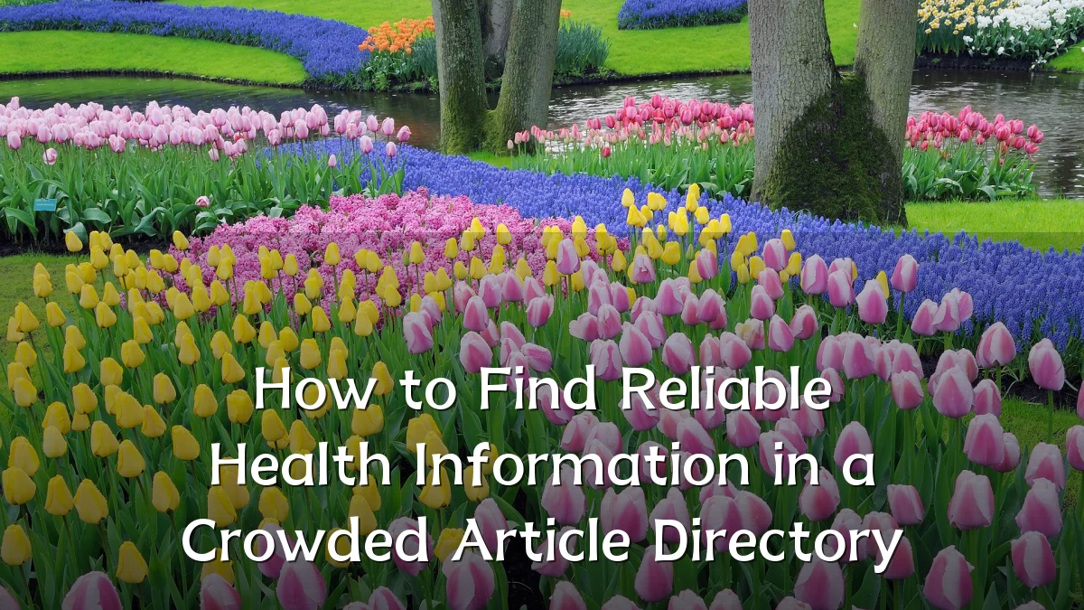 How to Find Reliable Health Information in a Crowded Article Directory