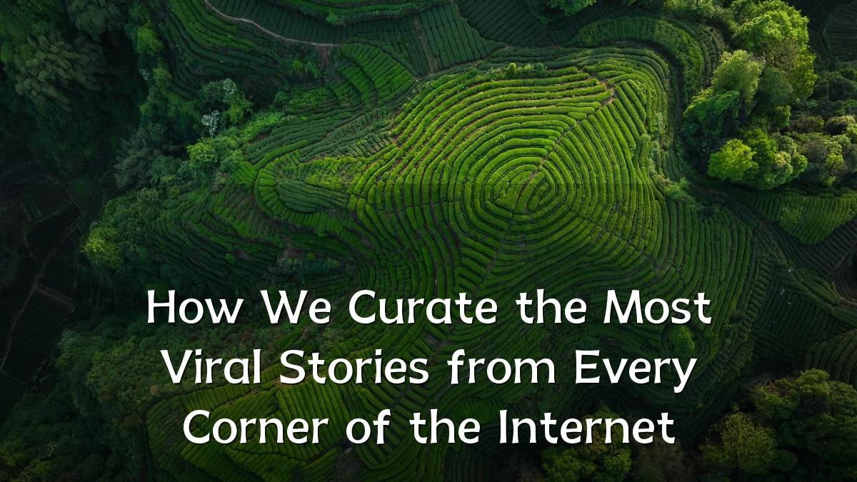 How We Curate the Most Viral Stories from Every Corner of the Internet