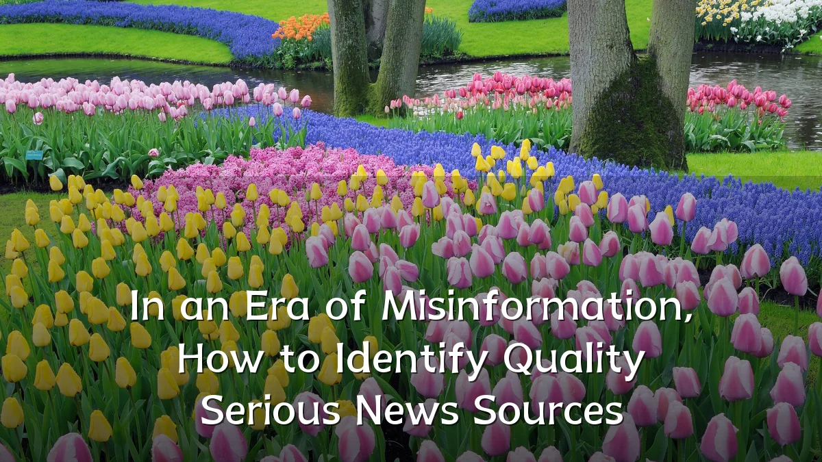 In an Era of Misinformation, How to Identify Quality Serious News Sources
