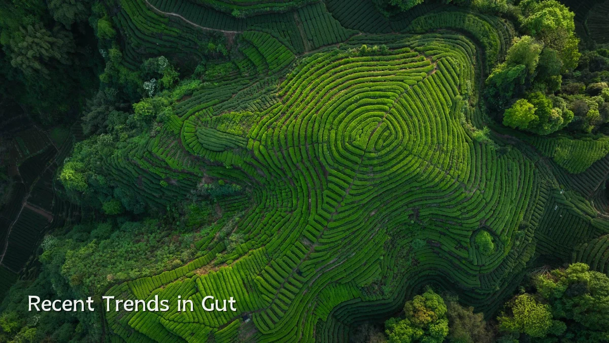 Recent Trends in Gut