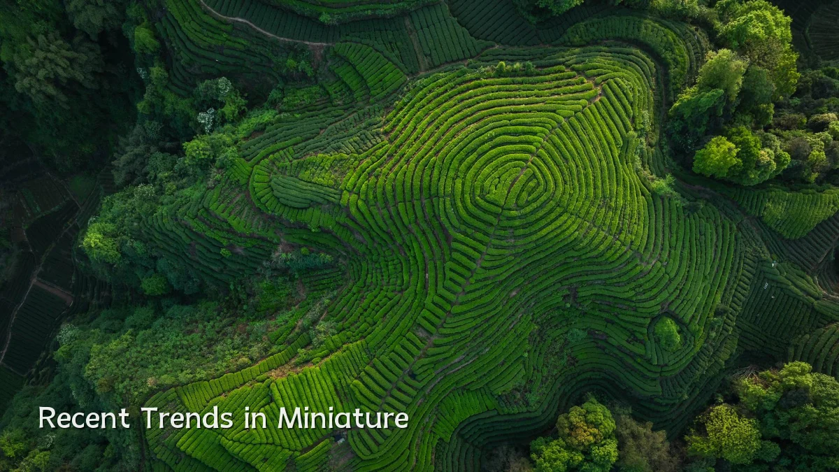 Recent Trends in Miniature