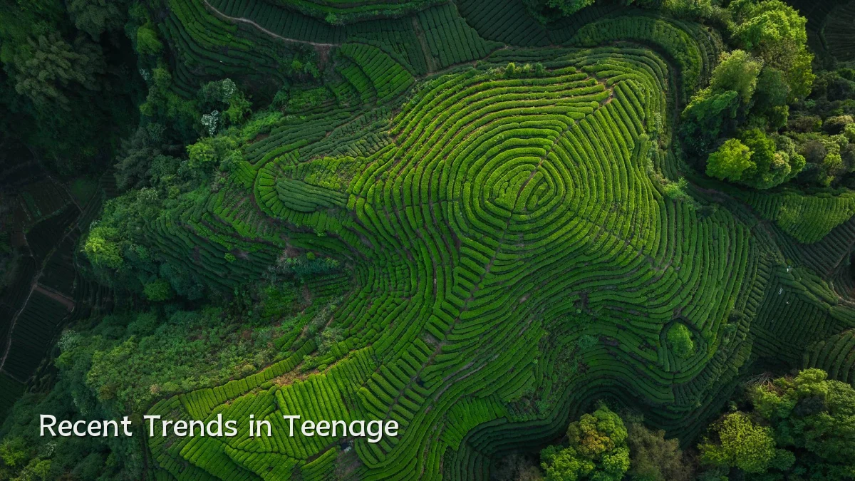 Recent Trends in Teenage