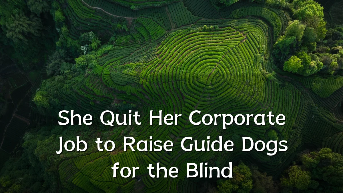 She Quit Her Corporate Job to Raise Guide Dogs for the Blind
