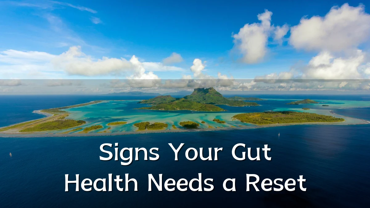 Signs Your Gut Health Needs a Reset