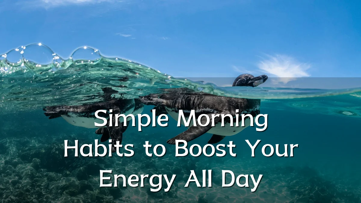 Simple Morning Habits to Boost Your Energy All Day