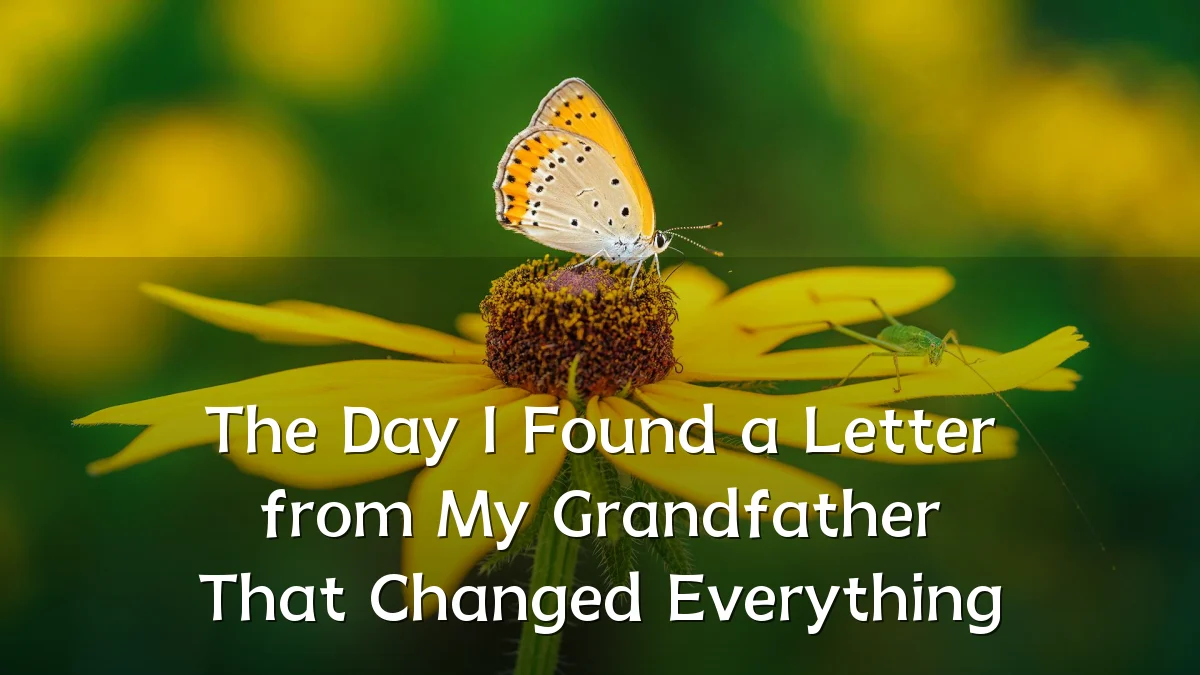 The Day I Found a Letter from My Grandfather That Changed Everything