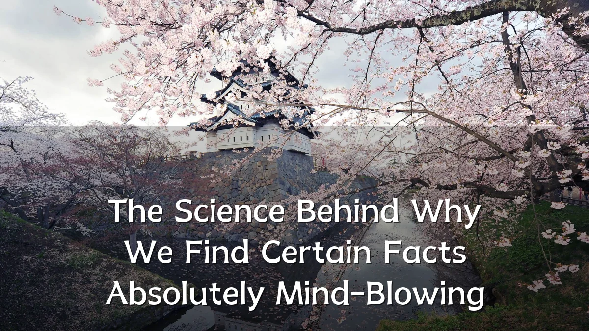 The Science Behind Why We Find Certain Facts Absolutely Mind-Blowing