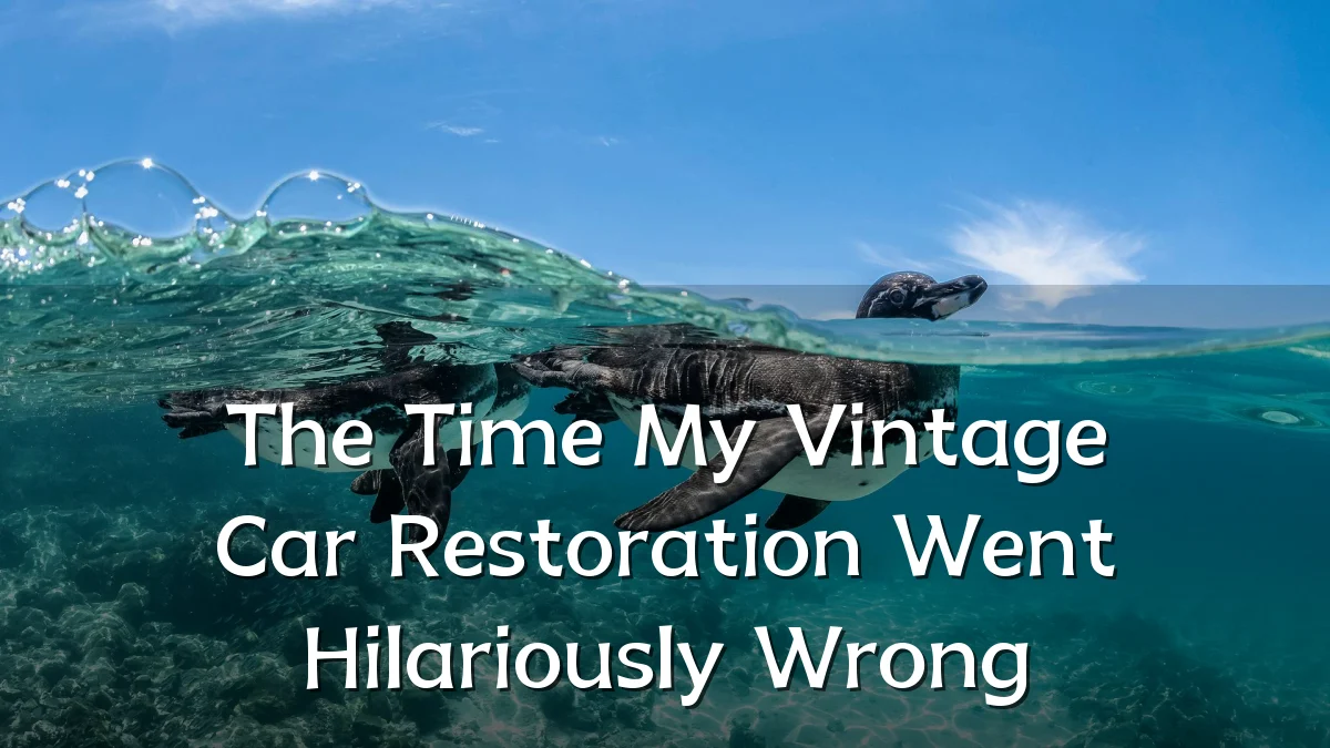 The Time My Vintage Car Restoration Went Hilariously Wrong