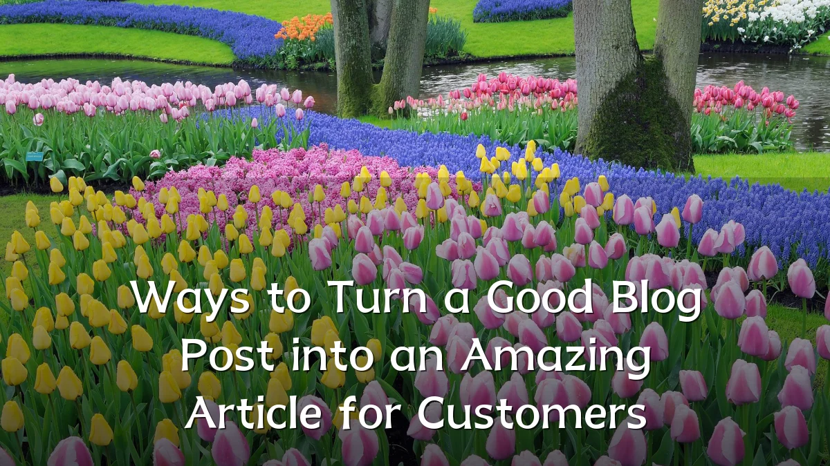 Ways to Turn a Good Blog Post into an Amazing Article for Customers