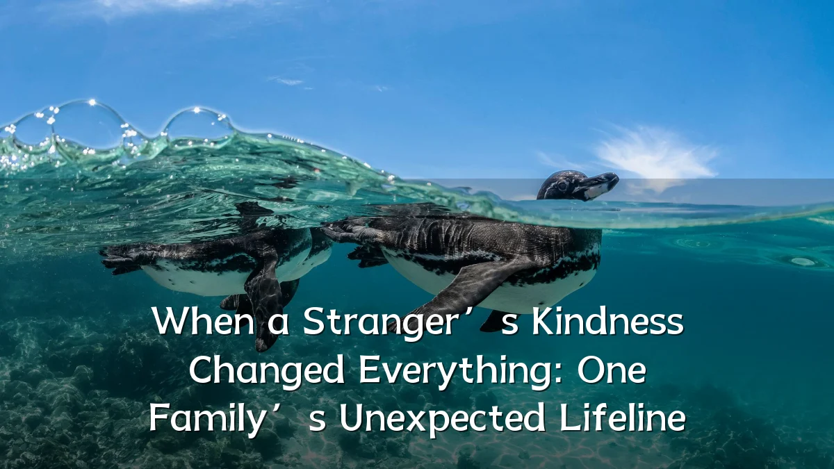 When a Stranger’s Kindness Changed Everything: One Family’s Unexpected Lifeline