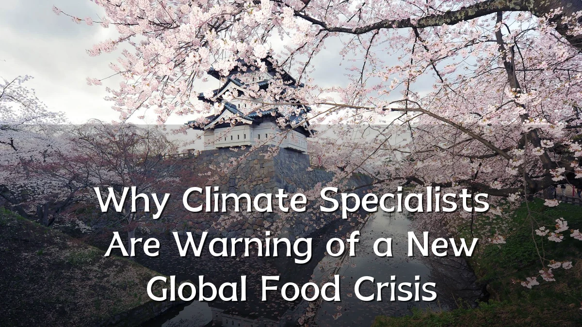 Why Climate Specialists Are Warning of a New Global Food Crisis