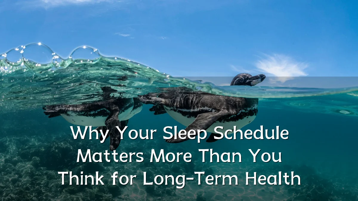 Why Your Sleep Schedule Matters More Than You Think for Long-Term Health
