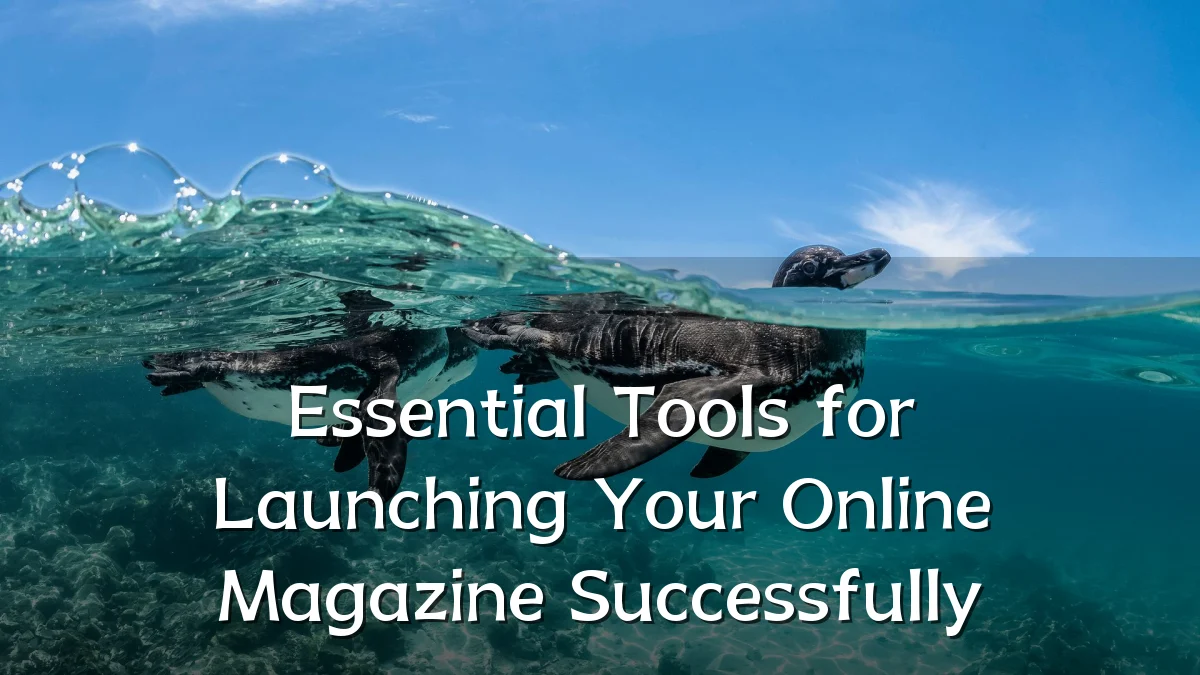 Essential Tools for Launching Your Online Magazine Successfully