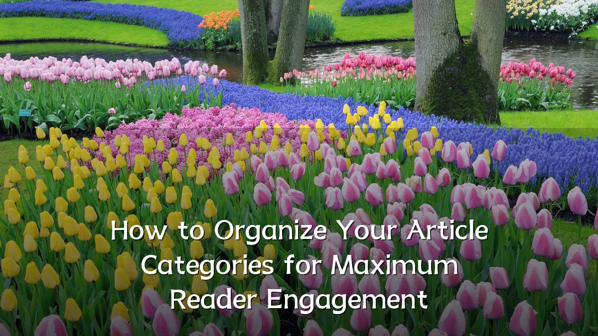How to Organize Your Article Categories for Maximum Reader Engagement