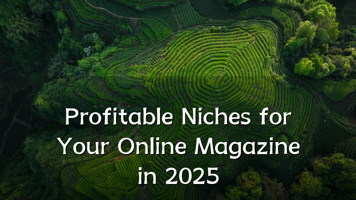 Profitable Niches for Your Online Magazine in 2025
