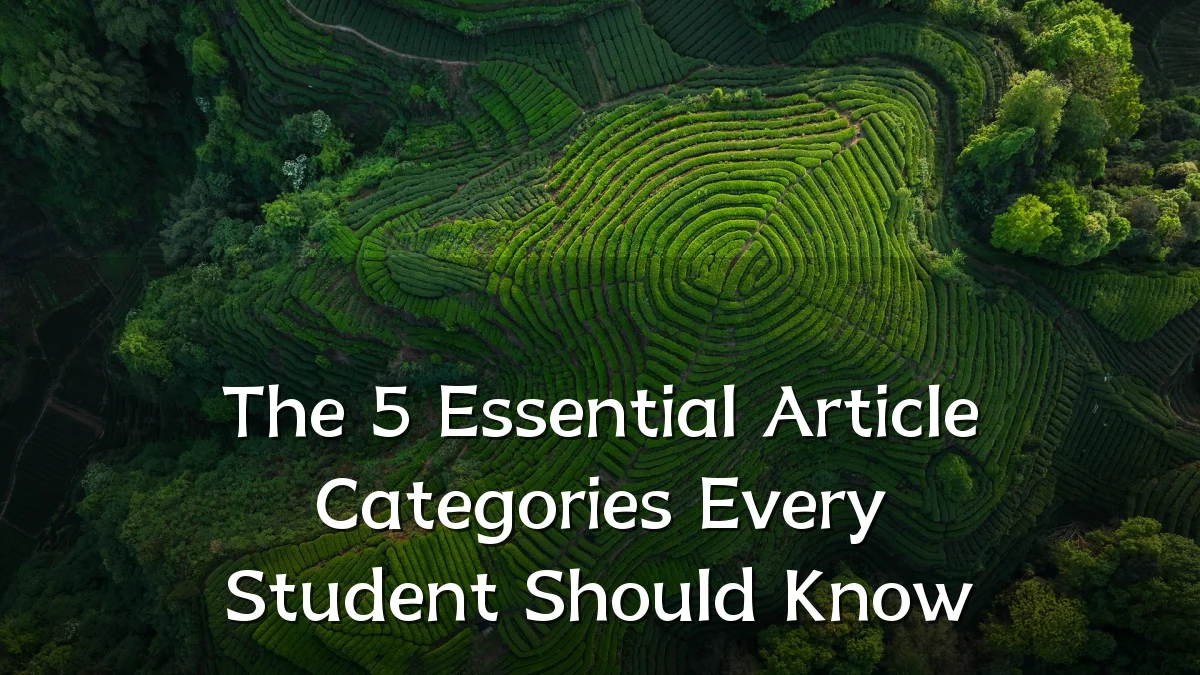 The 5 Essential Article Categories Every Student Should Know