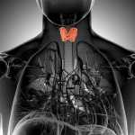what are early warning signs of thyroid cancer