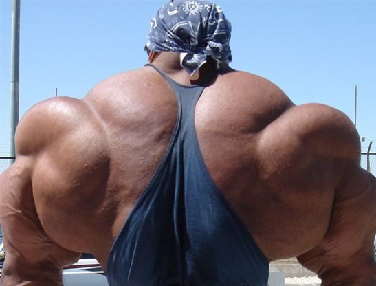 Huge Bodybuilders