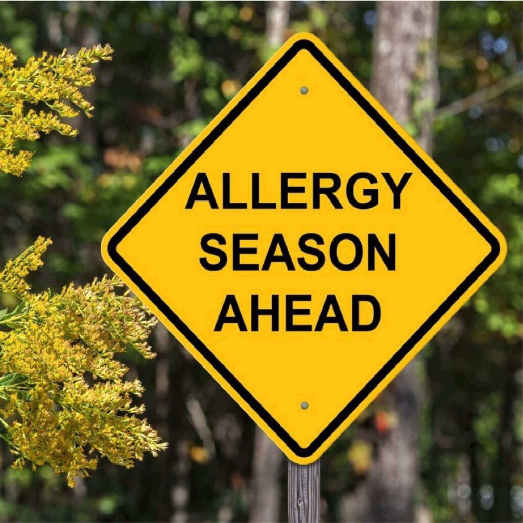 What are the best hay fever treatments? Huffington News