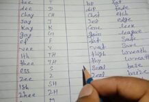 Learn Stenography: How to Take Home Stenography Classes