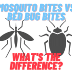 Bug Bites vs. Mosquito Bites