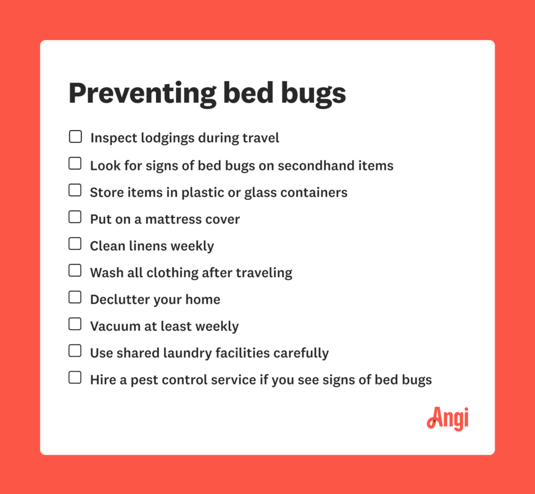 Top 10 Bed Bug Prevention Tips How to Keep Your Home InfestationFree