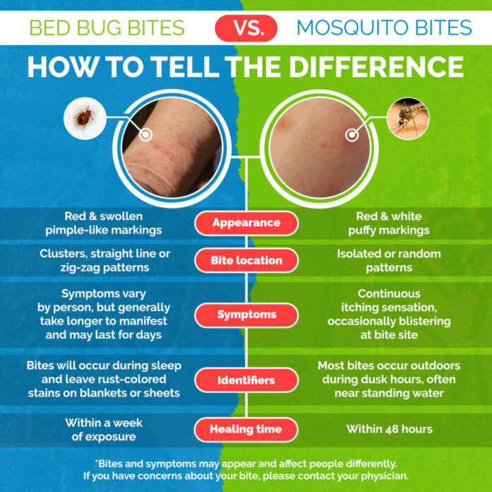 unwanted-itch-understanding-the-difference-between-bed-bug-bites-and-mosquito-bites