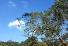 Understanding the Benefits of a Secured Loan for Your Financial Needs Understanding the Benefits of a Secured Loan for Your Financial Needs