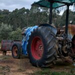 The Benefits of Tractor Supply Company’s Chicken Coops for Small-Scale Farmers