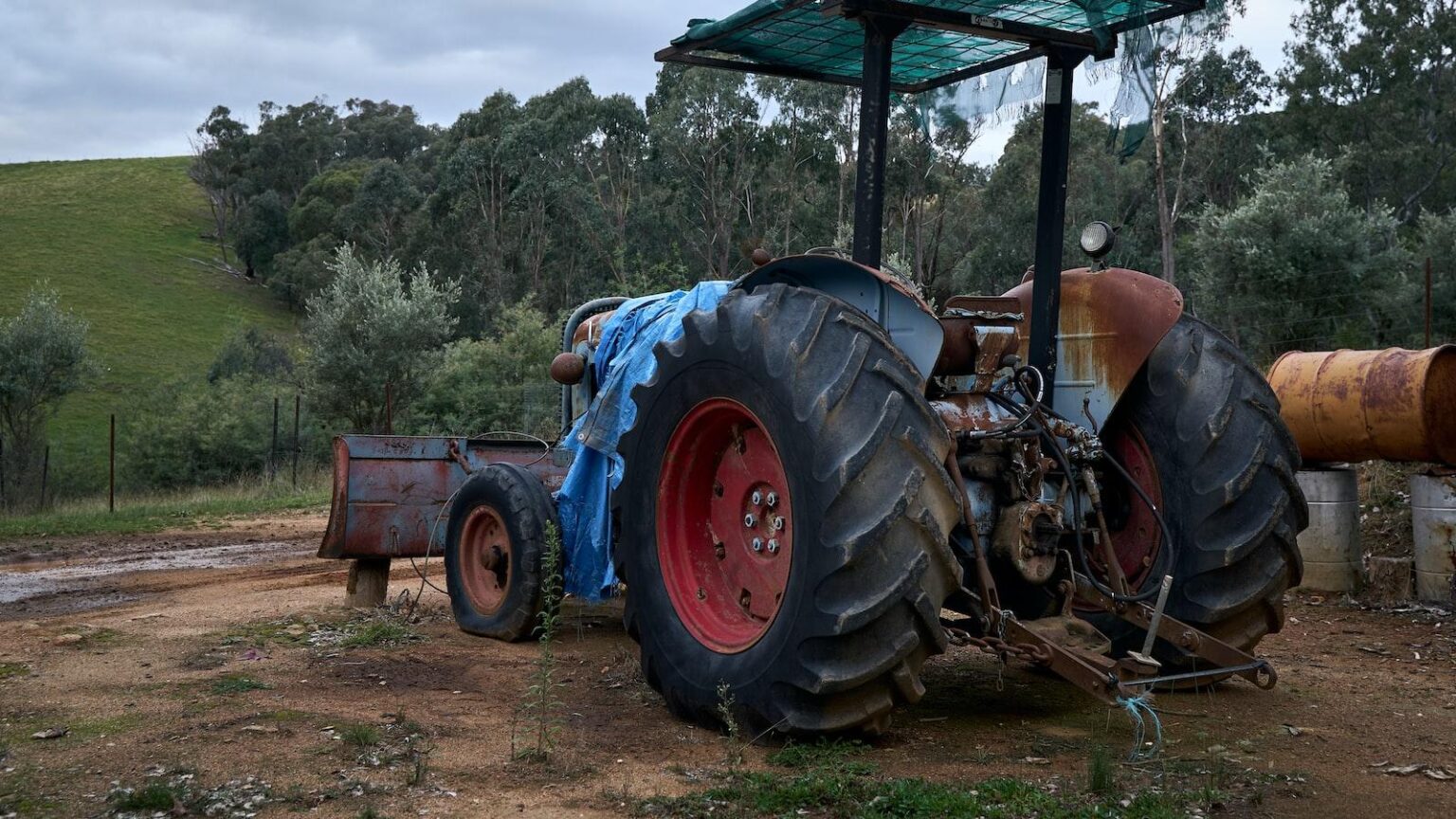 The Benefits of Tractor Supply Company's Chicken Coops for SmallScale