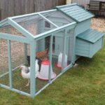 How to Build a Spacious and Functional Chicken Coop for Your Flock