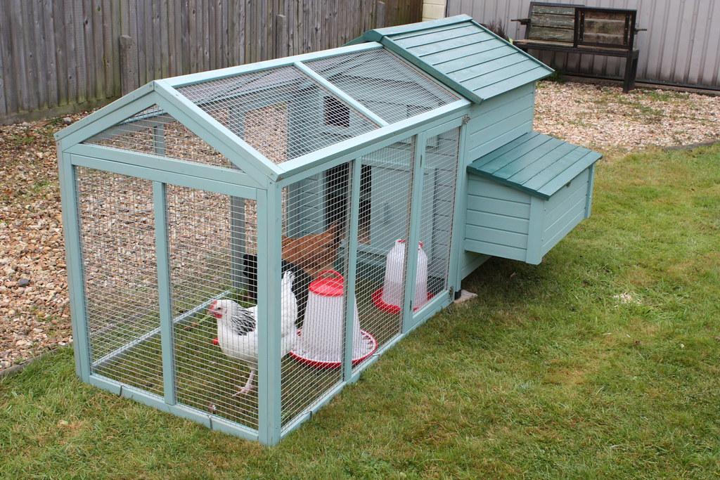 How to Build a Spacious and Functional Chicken Coop for Your Flock