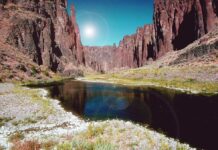 Oregon Football: A Team on the Rise Oregon Football: A Team on the Rise