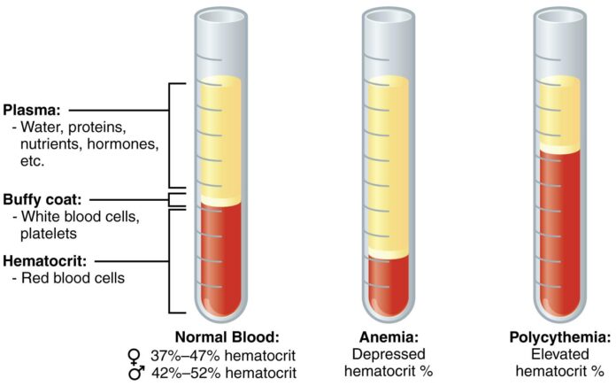 Recognizing the Signs of Low Blood Count: Symptoms You Shouldn’t Ignore