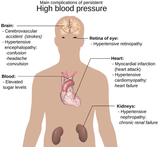 Understanding the Link Between Kidney Disease and Anemia