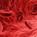 Understanding the Importance of High Red Blood Cell Count