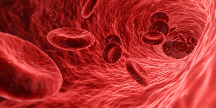 Understanding the Importance of High Red Blood Cell Count