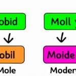 Modal Verbs