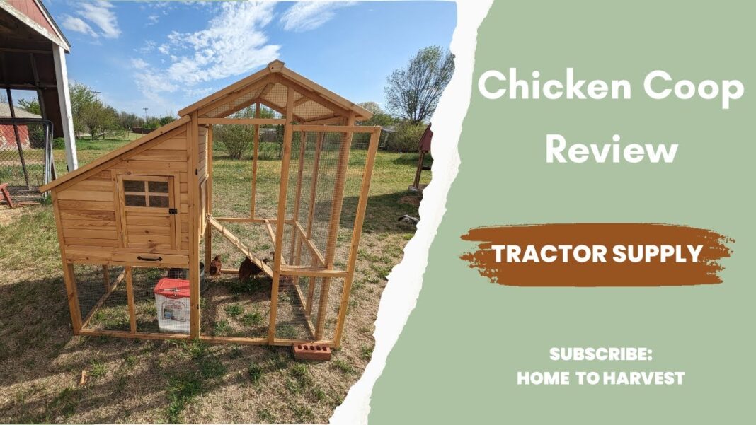 The Complete Guide to Tractor Supply Chicken Coops The Ultimate Home