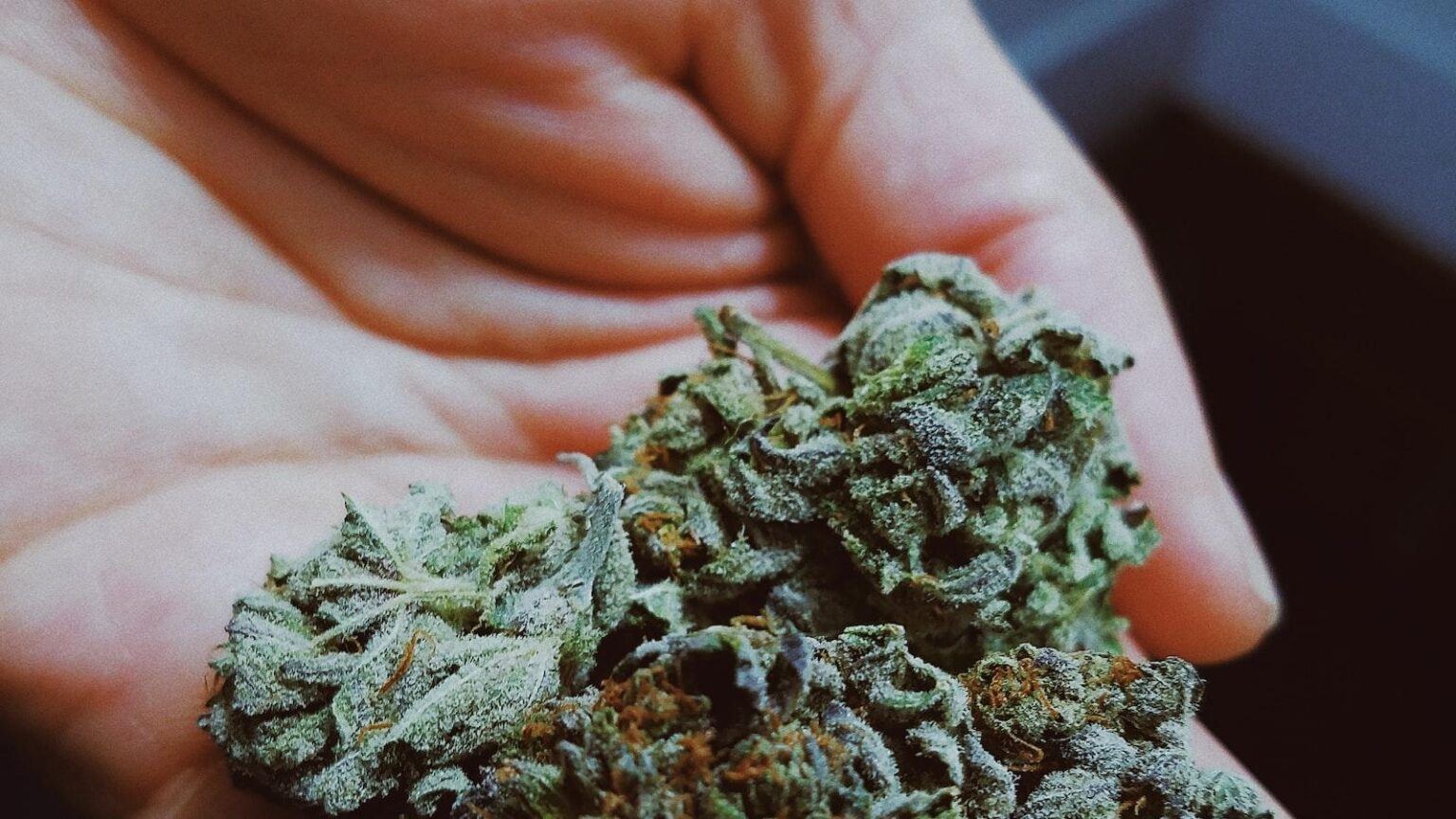 Understanding the Persistent Cough A Potential Sign of Lung Cancer