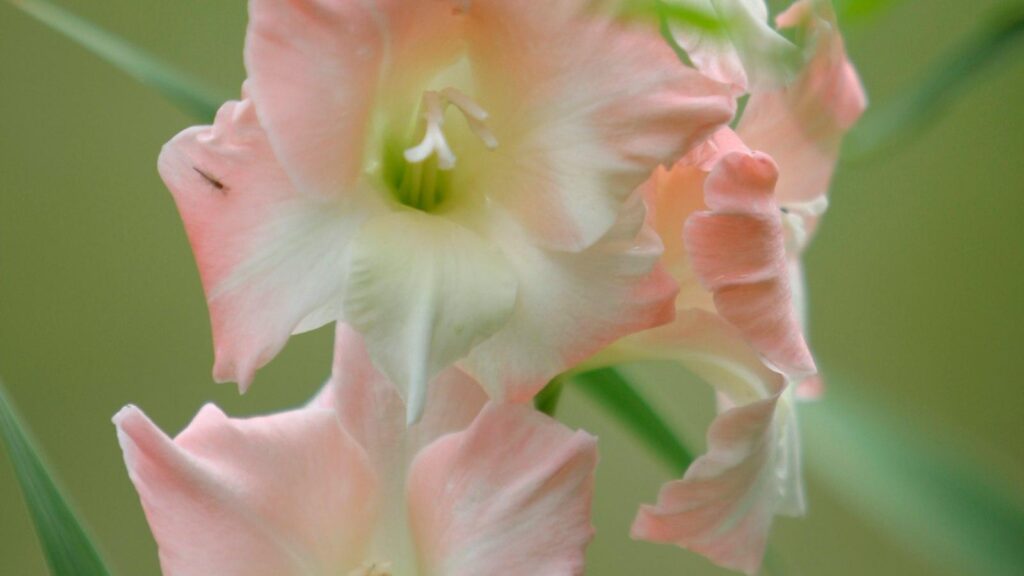 The Importance of CT Scans in Detecting Lung Cancer Huffington News