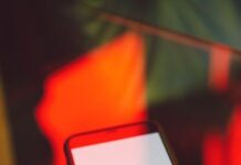 Bitten by the Bug: Ants Struggling with Bed Bug Bites Bitten by the Bug: Ants Struggling with Bed Bug Bites