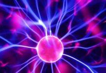 Maximizing Space: The Benefits of Using Large Chicken Cages Maximizing Space: The Benefits of Using Large Chicken Cages